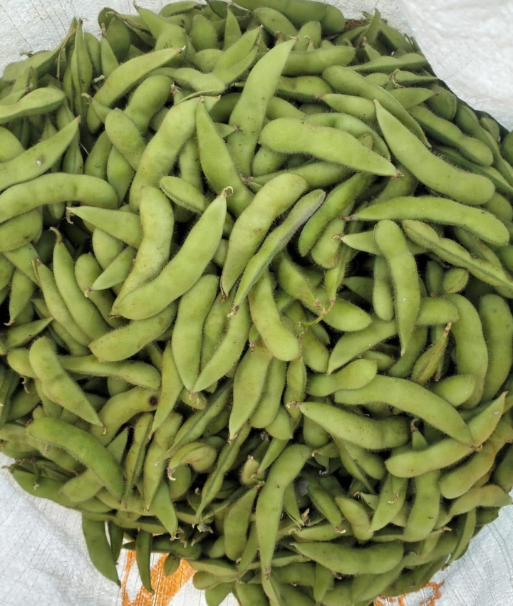 Mix Vegetable
